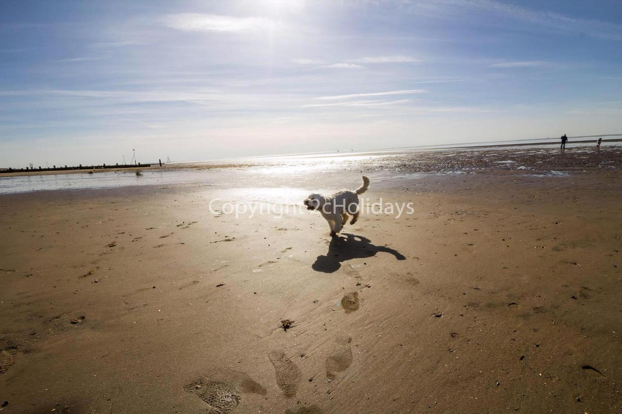 6 Berth Dog Friendly Caravan In Hunstanton, Minutes From The Beach Ref 13013L Exterior foto